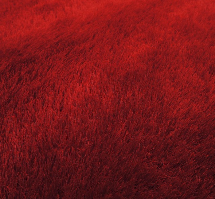 Dywan-7-soft-7901-red-zb1.jpg